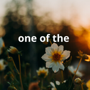 Album One of the from 