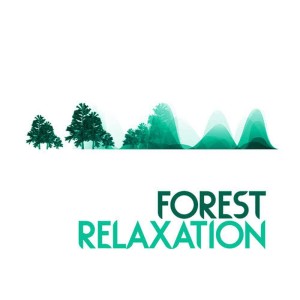 收聽Natural Forest Sounds的Water Changes歌詞歌曲