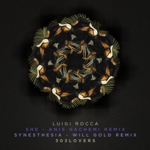 收聽Luigi Rocca的She (Anis Hachemi Remix)歌詞歌曲
