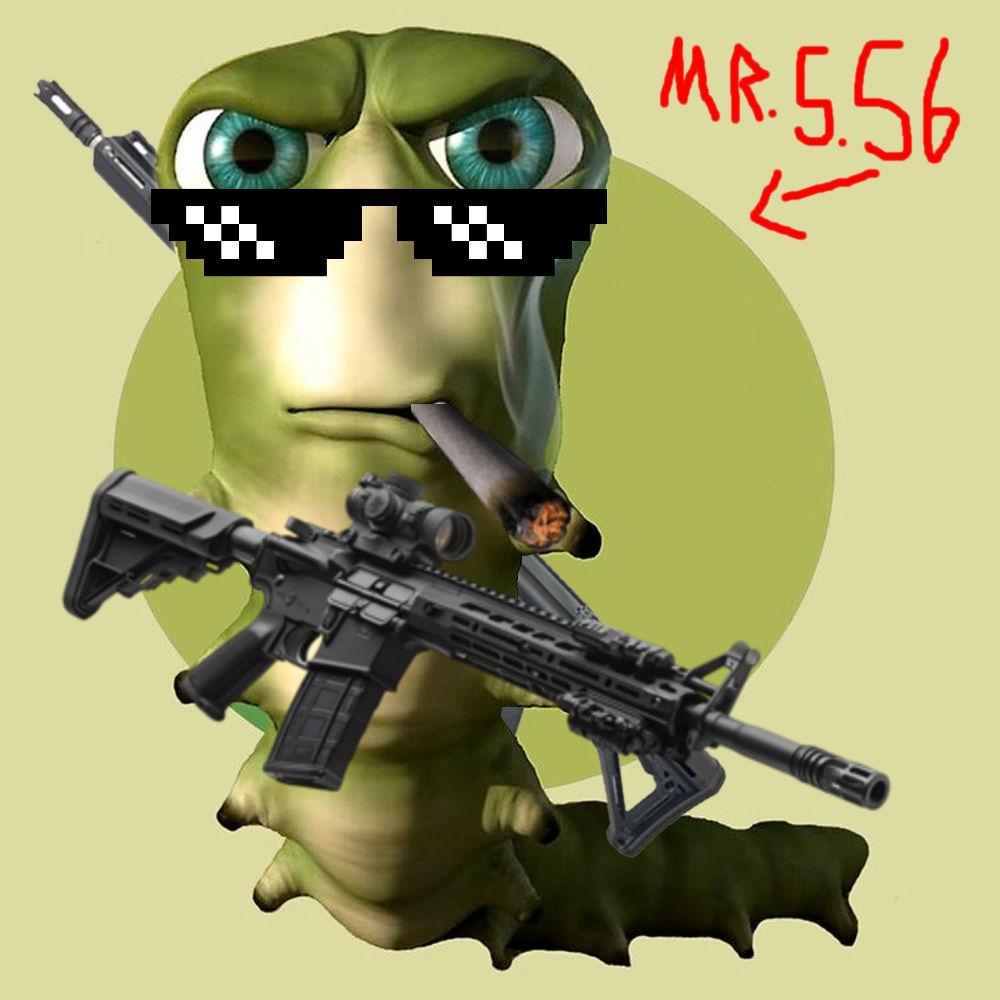 Mr. 5.56 (feat. kxlldev, Doyen & Jonas3095) (Explicit)