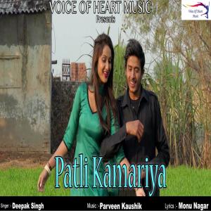 收听Deepak Singh的Patli Kamariya歌词歌曲