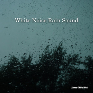 Dengarkan lagu Rain Sound (ASMR, Nature Sound) nyanyian J.Roomy dengan lirik