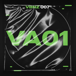 Various Artists的專輯Vibranz Va001