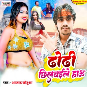 Listen to Dhodhi Chhilaile Hau song with lyrics from Azad Chhotua