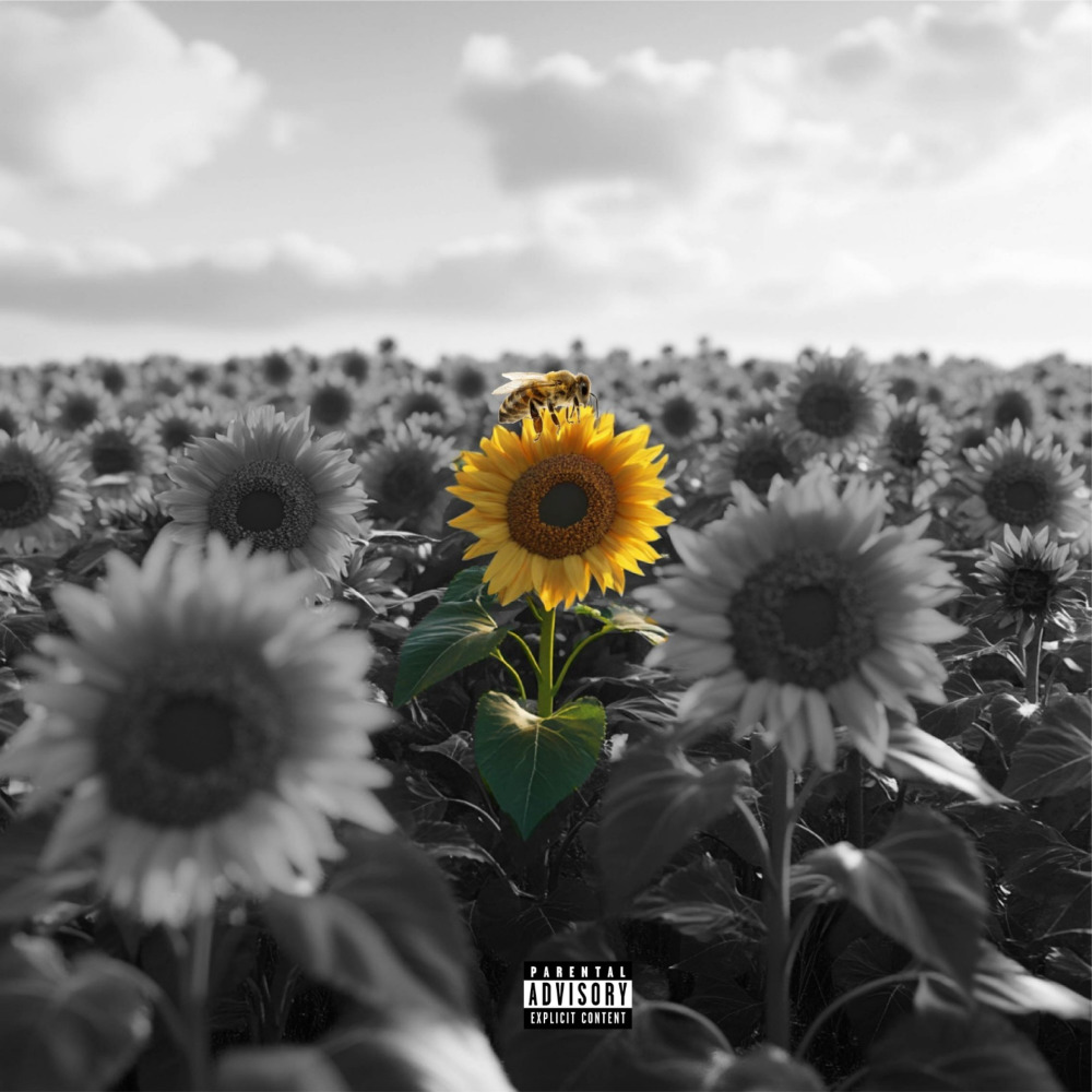 Lies (Explicit)