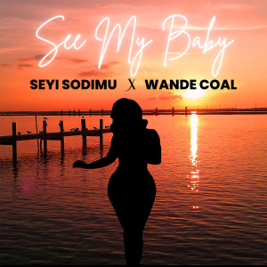 Listen to See My Baby song with lyrics from Seyi Sodimu