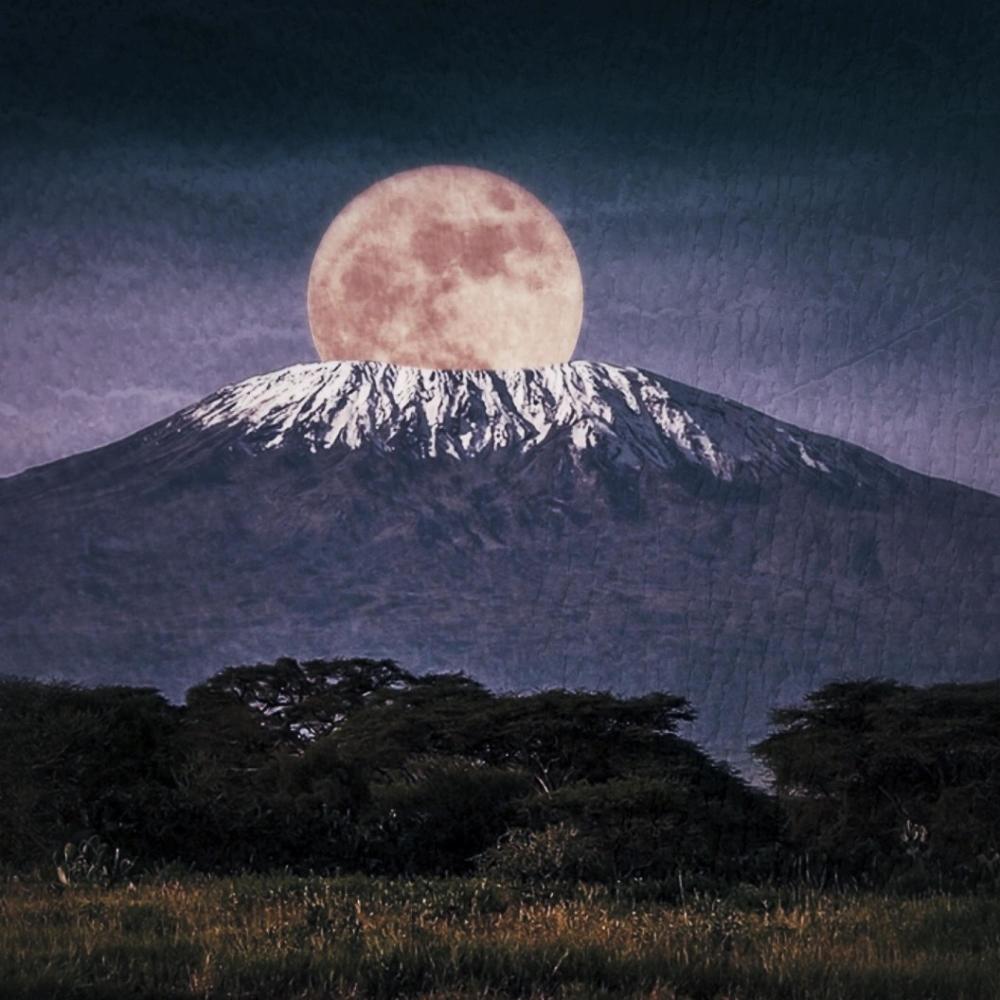 KILIMANJARO (feat. Índigo Suave) (Explicit)