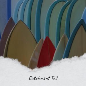 Various Artists的專輯Catchment Tail