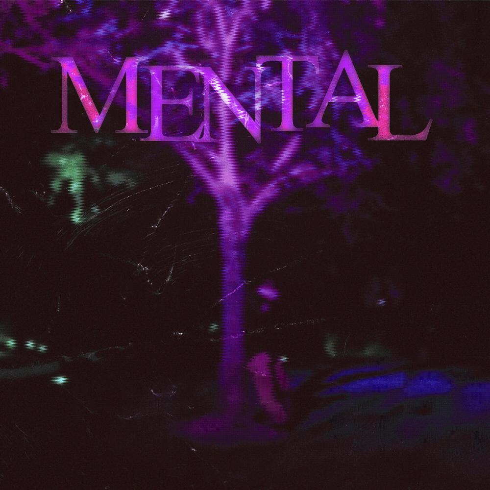 mental (Explicit)