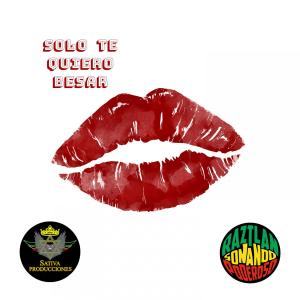 Album Sólo Te Quiero Besar (Remix) from Sativa Producciones