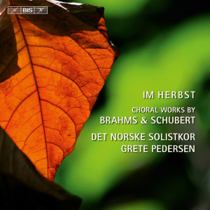 Listen to Geistliches Lied, Op. 30 song with lyrics from The Norwegian Soloists' Choir
