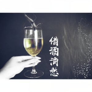 收聽三七二十一的借酒消愁歌詞歌曲
