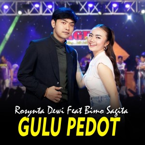 Rosynta Dewi的专辑Gulu Pedot