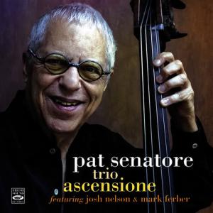 Mark Ferber的專輯Pat Senatore Trio. Ascensione