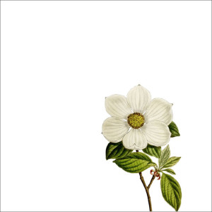 收听Common Jack的I Don't Mind歌词歌曲
