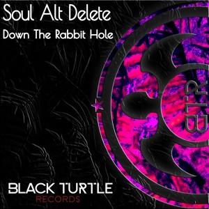 Album Down the Rabbit Hole oleh Soul Alt Delete