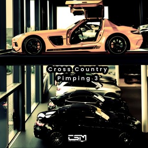 Cross Country Pimping 3 (Explicit) dari Chief Scrill