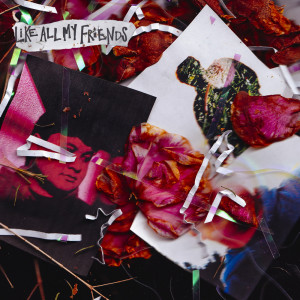 Album Like All My Friends oleh Francis Karel