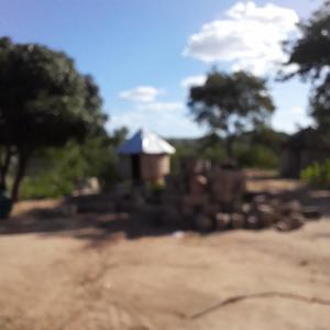 ดาวน์โหลดและฟังเพลง Ntombhi Yale Bush พร้อมเนื้อเพลงจาก GodlyTysono