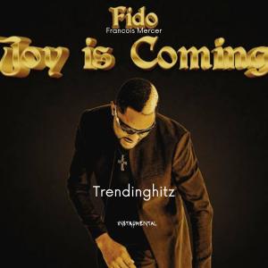 อัลบัม Fido Joy is coming beat ศิลปิน DJ Remix