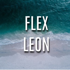 Album Flex from Leon