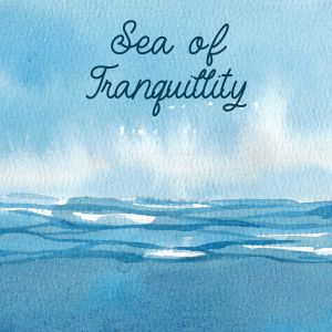 Listen to Coast Calypso song with lyrics from Relaxing Sea Sounds
