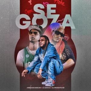 收聽Jonatan Burlon的Se Goza (feat. El Producto HD & La Sadica) (Remix)歌詞歌曲
