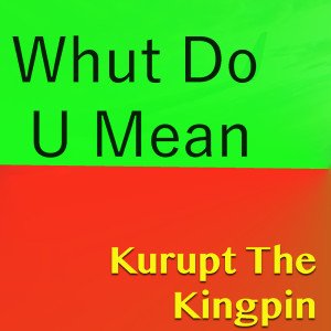 Listen to What Dew You Mean (Explicit) song with lyrics from Kurupt the Kingpin