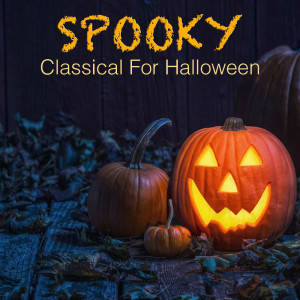收聽The St Petra Russian Symphony Orchestra的Mozart Symphony 40, KV 550, 1歌詞歌曲