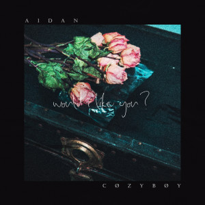 收听Aidan的would i like you?歌词歌曲