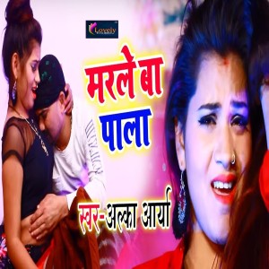 Listen to Marle Ba Pala song with lyrics from Alka Arya