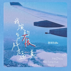 Album 我演的不恨怎样才逼真 from 