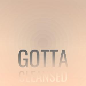 Various Artists的專輯Gotta Cleansed