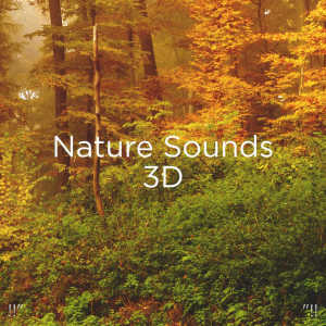收聽Sleep Sounds of Nature的Binaural Beats Healing歌詞歌曲