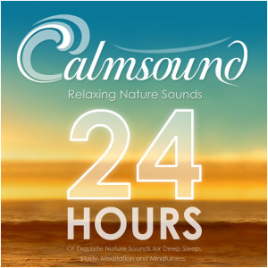 Dengarkan Rain Sounds: Heavy Summertime Downpour lagu dari Calmsound dengan lirik