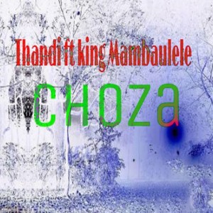 Album Choza from 