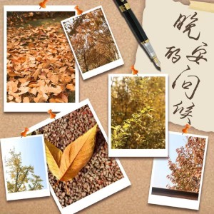 收听包达的晚安的问候 (伴奏)歌词歌曲