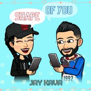 Shape Of You (Instrumental) dari Jay Kava