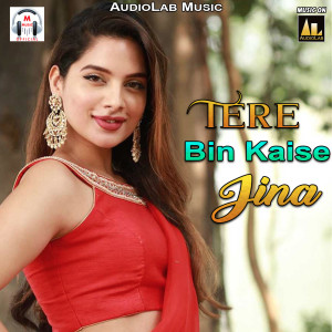 Listen to Hum to Mar Jaayeb Ro Ro Ke song with lyrics from Satish Kumar