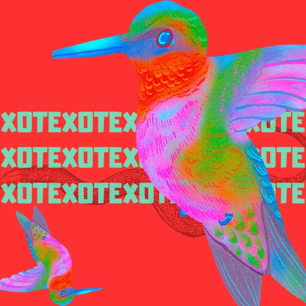 Xote do Beija-Flor