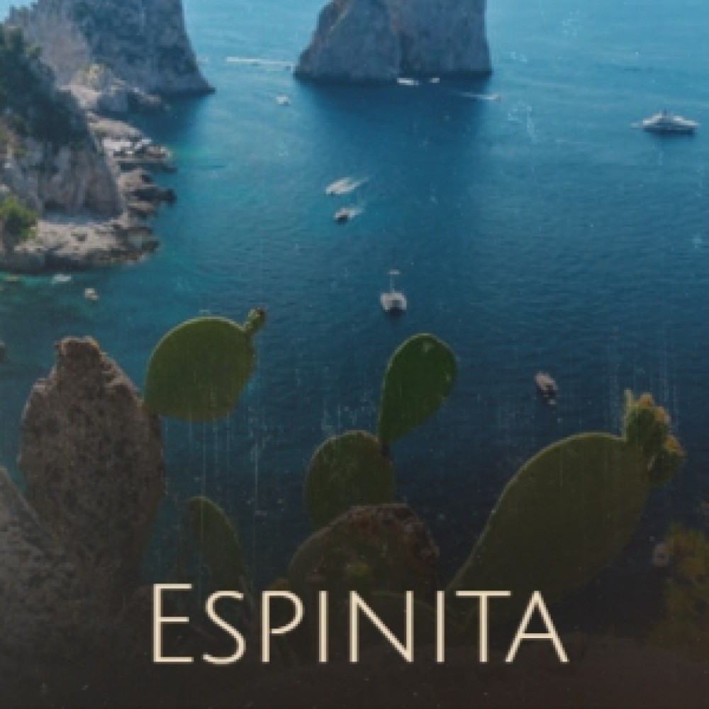 Espinita