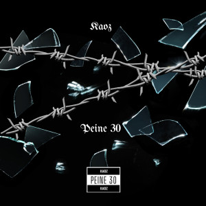 ดาวน์โหลดและฟังเพลง PEINE 30 พร้อมเนื้อเพลงจาก Kaoz
