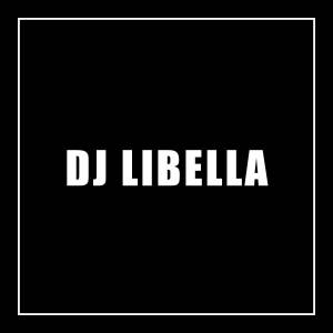อัลบัม DJ Dance Mongkey ศิลปิน Dj Libella