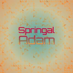Listen to Terrific Jill song with lyrics from Gerian Momo