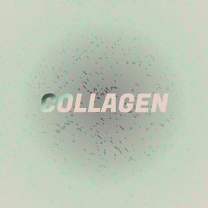 Various Artists的專輯Collagen