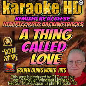 Listen to A Thing Called Love (2022 remastered & remixed - Karaoke Version) song with lyrics from DJ Ceesy
