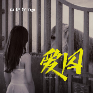 收听肖伊谷的爱囚歌词歌曲