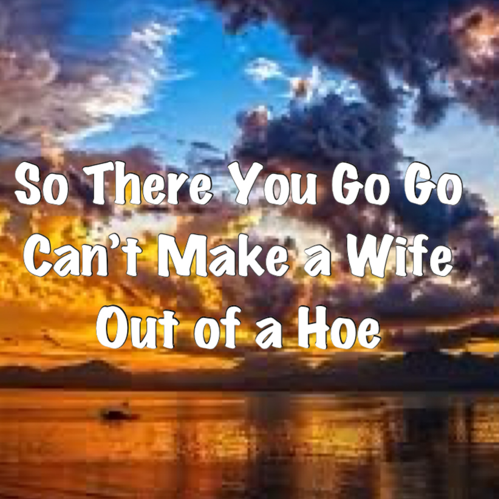 So There You Go Go Can`T Make a Wife Out Of a Hoe Dance Challenge