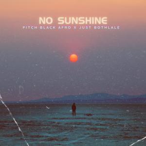 อัลบัม NO SUNSHINE (feat. Just Bothlale & Tshego Judah) ศิลปิน Pitch Black Afro