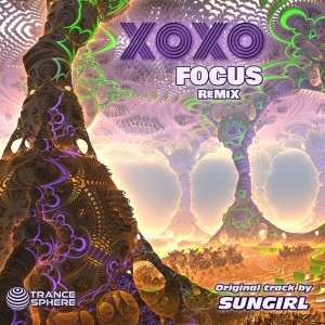 Album Focus (remix) from Sungirl